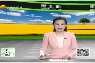 哺乳仔豬怎么養(yǎng)？農(nóng)業(yè)服務(wù)站為您帶來(lái)飼養(yǎng)哺乳仔豬的技術(shù)要點(diǎn)