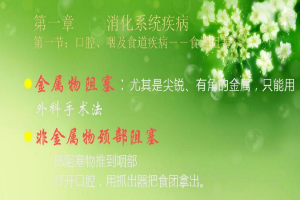畜禽生產(chǎn)與疾病防治專業(yè)《畜禽疾病防冶》