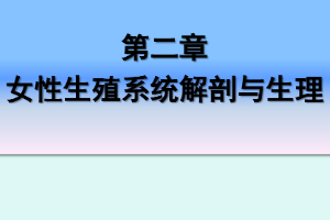 <em>課件</em>：《<em>婦產(chǎn)科</em><em>護(hù)理學(xué)</em>—第二章 女性生殖系統(tǒng)解剖與生理》