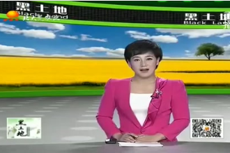 養豬寶典：空懷<em>母豬</em><em>的</em><em>飼養</em>管理要點