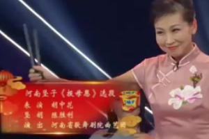 河南墜子《報(bào)母恩》選段