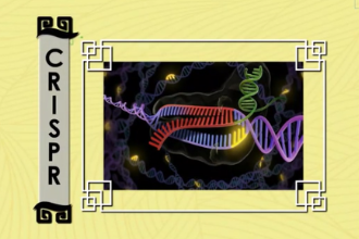 CRISPR—原核生物<em>基因</em>組內(nèi)<em>的</em>一段重復(fù)序列