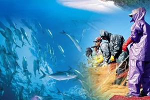 <em>水聲</em><em>工程</em><em>專業</em>：《聲信號處理》<em>課程</em><em>思</em><em>政</em><em>案例</em>