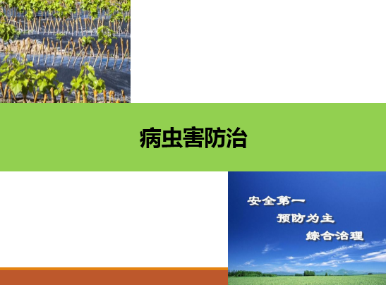 <em>園藝</em><em>技術</em><em>專業</em>：《<em>果樹</em>生產創新模塊-—病蟲害防治》<em>課程</em><em>思</em><em>政</em><em>課堂教學</em><em>設計</em>
