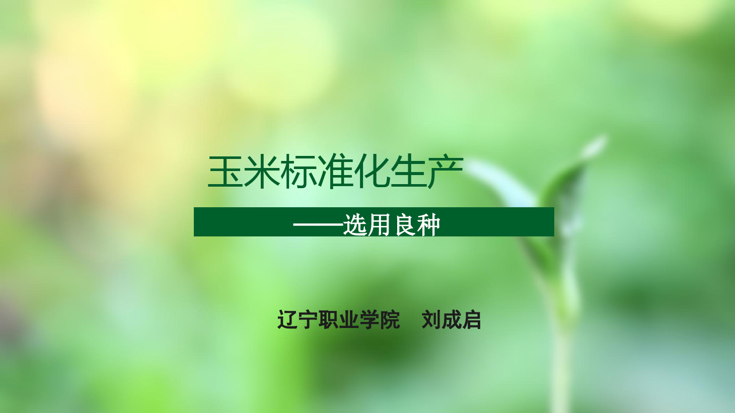 <em>課件</em>：<em>作物</em><em>生產(chǎn)</em><em>與</em><em>經(jīng)營管理</em><em>專業(yè)</em>《<em>玉米</em><em>標(biāo)準(zhǔn)化</em><em>生產(chǎn)</em>—選用良種》