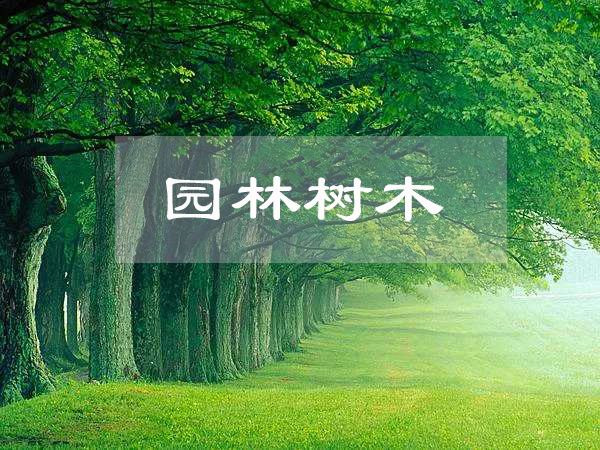 <em>園林</em><em>工程技術(shù)</em>、<em>園林</em>技術(shù)<em>專業(yè)</em>：《<em>園林</em><em>樹木</em>》<em>課程</em><em>思</em><em>政</em><em>課堂教學(xué)</em><em>設(shè)計(jì)</em>