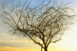 <em>微</em><em>課</em>：殯葬設備維護技術專業《喪葬禮儀》
