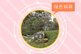 一分鐘了解生態(tài)殯葬（綠色殯葬）