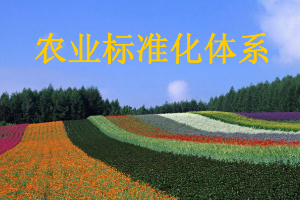 <em>課件</em>：<em>作物</em><em>生產(chǎn)</em><em>與</em><em>經(jīng)營管理</em><em>專業(yè)</em>《農(nóng)業(yè)<em>標(biāo)準(zhǔn)化</em>》
