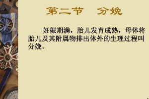 <em>課件</em>：<em>中</em><em>獸醫(yī)</em><em>專業(yè)</em>《<em>中</em><em>獸醫(yī)</em>外科與產(chǎn)科—分娩》
