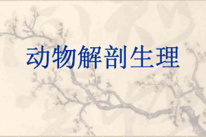 <em>課件</em>：<em>中</em><em>獸醫(yī)</em><em>專業(yè)</em>《<em>動物解剖</em><em>生理</em>—動物體的基本結(jié)構(gòu)》