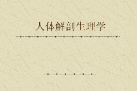 <em>課件</em>：<em>藥學</em><em>專業(yè)</em>《人體解剖生理學》