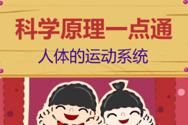 人體<em>的</em>運(yùn)動(dòng)系統(tǒng)