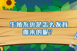生殖系統<em>是</em>怎么發育而來<em>的</em><em>呢</em>？