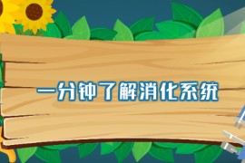 一分鐘了解<em>消化</em>系統