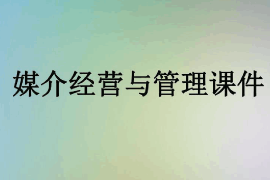 課件：數(shù)字出版專業(yè)《媒介經(jīng)營與管理》
