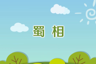 《蜀相》—杜甫創(chuàng)作七言律詩