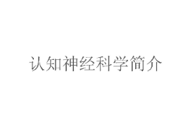 課件：認(rèn)知科學(xué)與技術(shù)專業(yè)《認(rèn)知神經(jīng)科學(xué)》