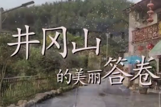 井岡山，煥發(fā)高質(zhì)量發(fā)展的光彩