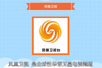 鳳凰衛視—<em>全球</em>性華語衛星電視頻道