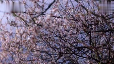 大力培育和弘揚(yáng)<em>社會(huì)</em>主義核心價(jià)值觀