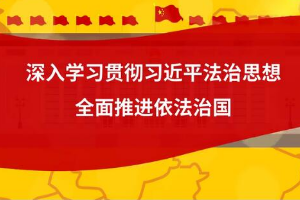 微動(dòng)漫  “十一個(gè)堅(jiān)持”<em>推進(jìn)</em><em>全面</em><em>依法治</em>國