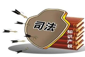 帶你了解<em>知識產(chǎn)權(quán)</em>法（圖4）