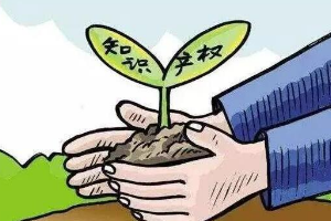 帶你了解<em>知識產權</em>法（圖3）