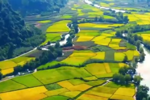 芒種<em>不</em>種再種無用，千萬別小瞧了<em>這個</em>節氣，蘊含人生大智慧