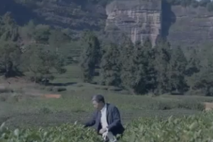 王順明是誰(shuí)？懂茶<em>的</em><em>都</em><em>知道</em>！
