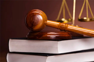 <em>法學專業</em>：《<em>憲法學</em>》課程思政案例