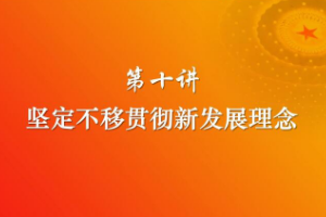堅(jiān)定不移<em>貫徹</em><em>新發(fā)展</em><em>理念</em>