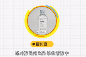 緩沖液—弱酸及其鹽的混合溶液等