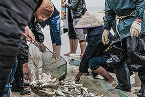 海洋科學專業：《水產<em>動物</em><em>生理學</em>》<em>課程</em><em>思</em>政<em>案例</em>