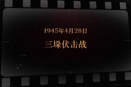 1945年4月28日 三垛伏擊戰(zhàn)