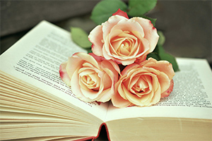<em>學前教育</em><em>專業</em>：《<em>學前教育</em>學》<em>課程標準</em>