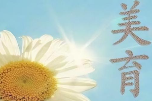 閩南科技學(xué)院新時(shí)代美育工作實(shí)施方案