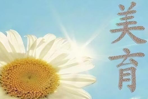 <em>通</em><em>識(shí)</em><em>課</em>：《大學(xué)美育》<em>課程</em><em>思</em><em>政</em><em>申報(bào)</em><em>書</em>