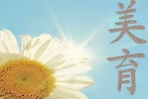 中國民航大學<em>美育</em><em>工作</em><em>實施方案</em>