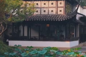 園林秋色！蘇州留園秋風拂桂<em>古韻</em>悠然