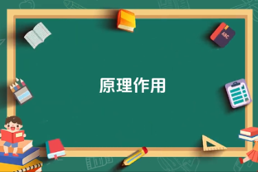 蘋<em>果園</em>套種間作黃豆技術-原理作用