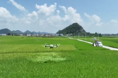 貴安新區龍寶村：<em>無人機</em>織就<em>智慧</em>防蟲網 科技護航稻田豐收路