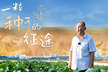 “全國先進(jìn)工作者”張孟臣：一粒種子的征途